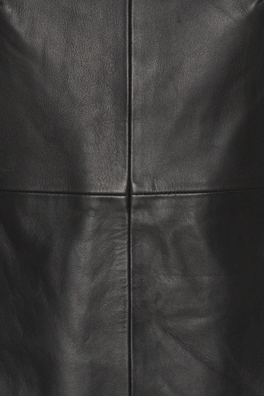 Tenna Leather Mini Dress