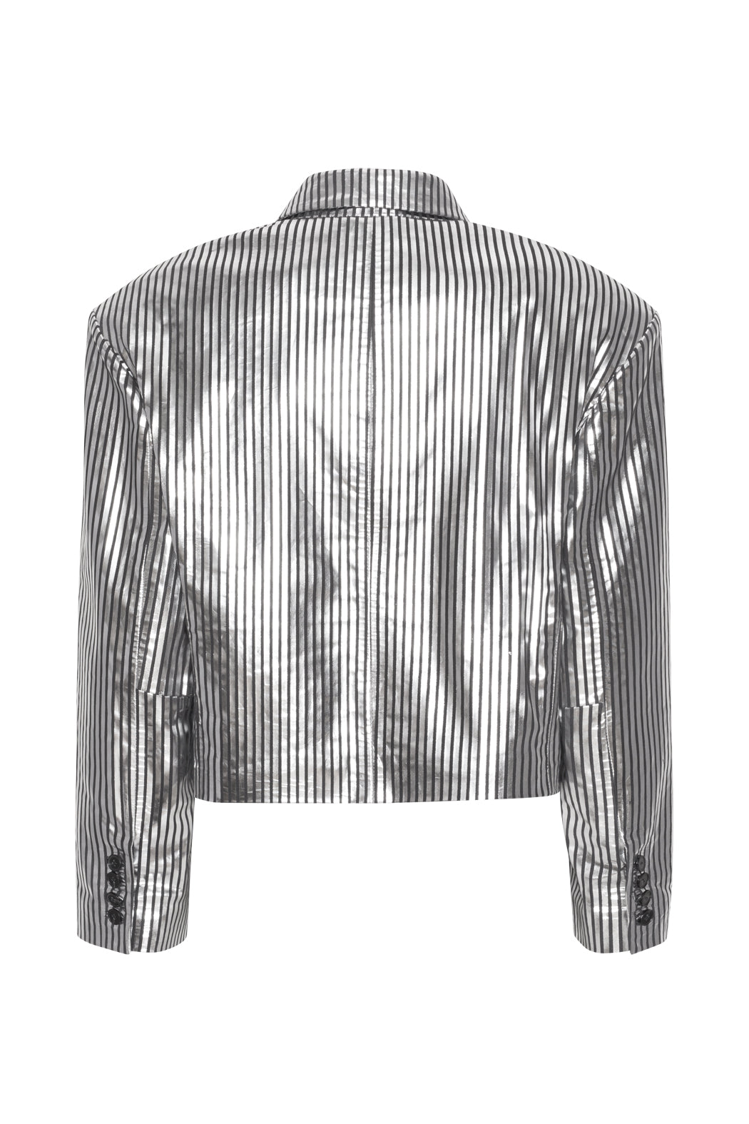 Skylar Striped Leather Blazer