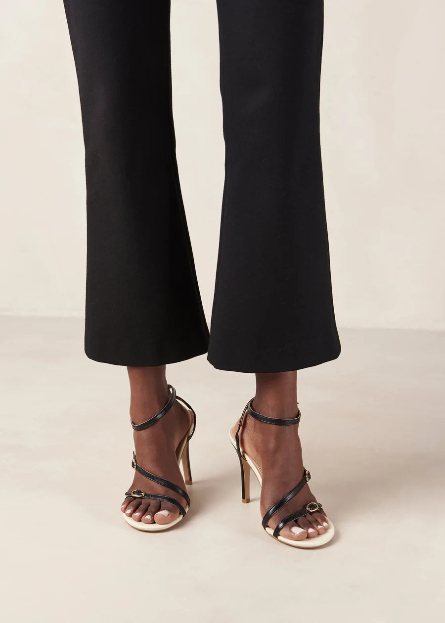 Alyssa Black and Cream