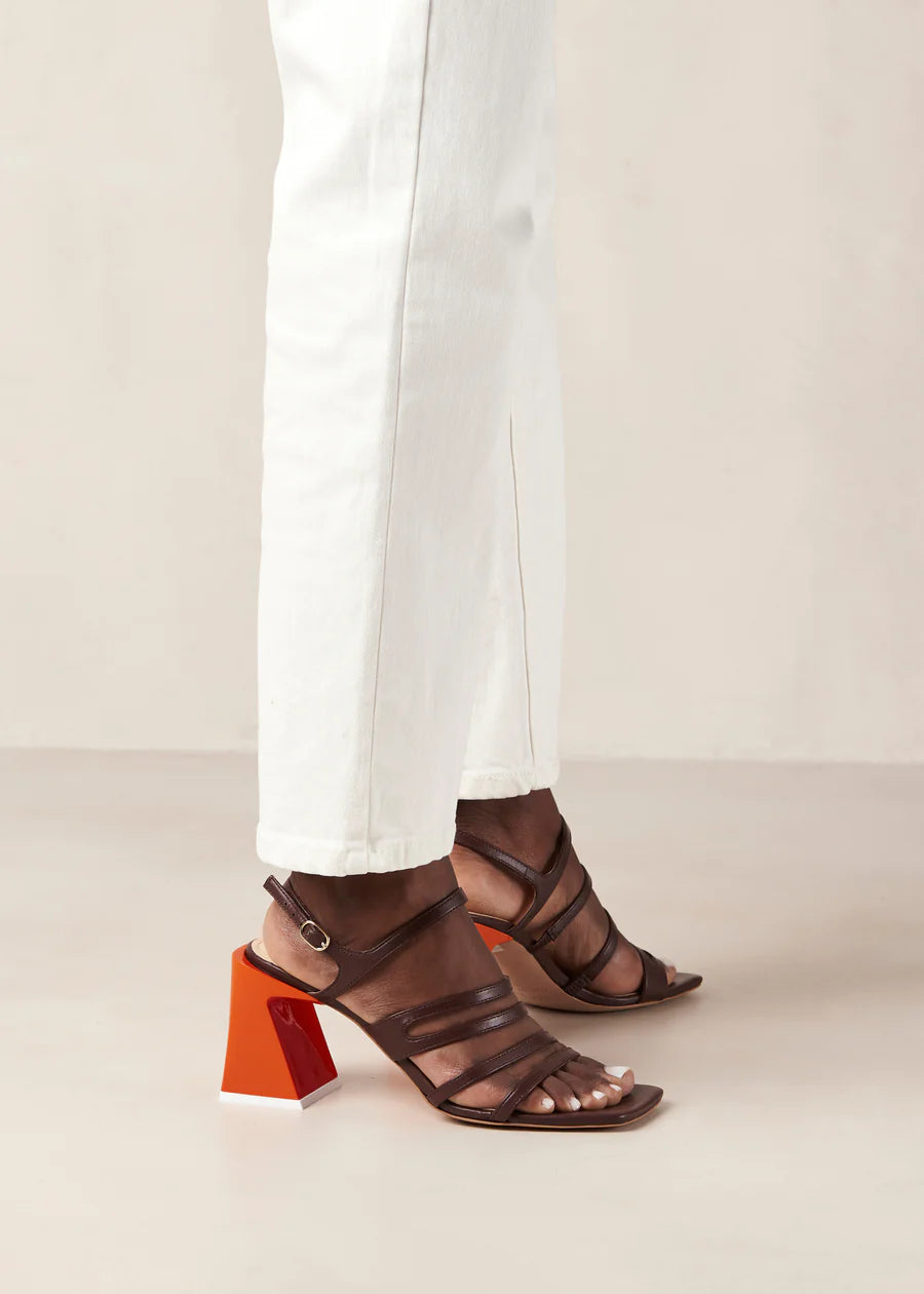 Aubrey Brown and Orange